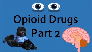 Opioid Drugs Part 2 Addiction and Overdose [upl. by Asillam]