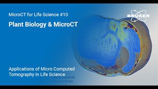 Plant Biology amp MicroCT  Applications of MicroCT in Life Science 10 [upl. by Eimmat122]