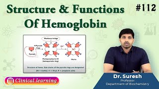 112 Structure amp Functions Of Hemoglobin [upl. by Arhat]