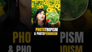 Phototropism aur Photoperiodism me kya difference hota hai bacho riturattewal neet2024 neetbio [upl. by Dinsmore]