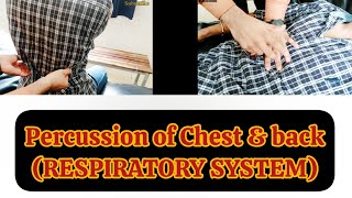 Percussion of Chest amp Back  Respiratory System Examination [upl. by Trici]